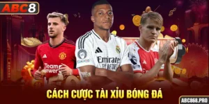 1-cach-cuoc-tai-xiu-bong-da