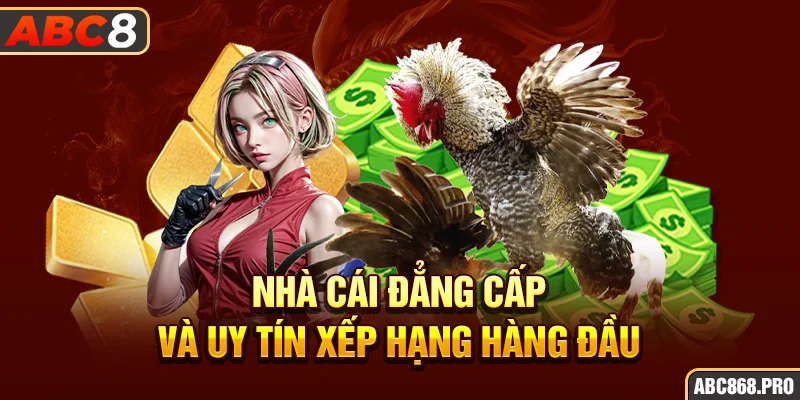 2-nha-cai-dang-cap-va-uy-tin-xep-hang-hang-dau