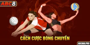 cach-cuoc-bong-chuyen