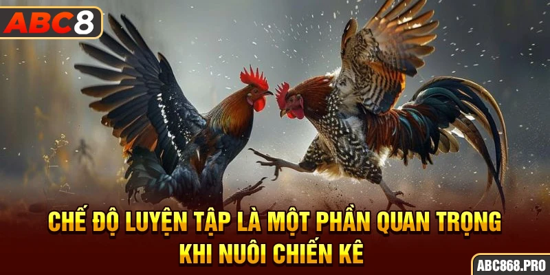 che-do-luyen-tap-la-mot-phan-quan-trong-khi-nuoi-chien-ke